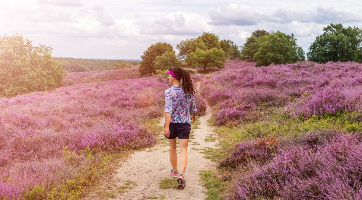wandelroute van het jaar