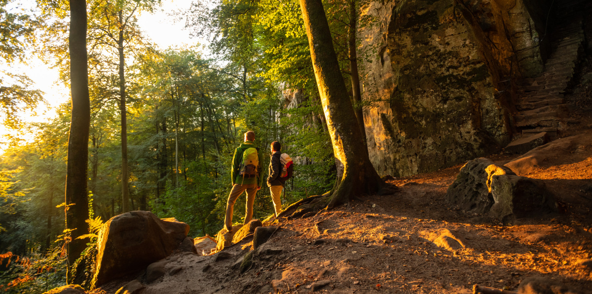 Wandelen in de Eifel