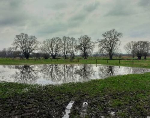 Meertje langs de Vossewegelroute