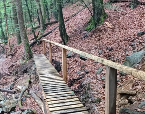 bruggetje in het bos